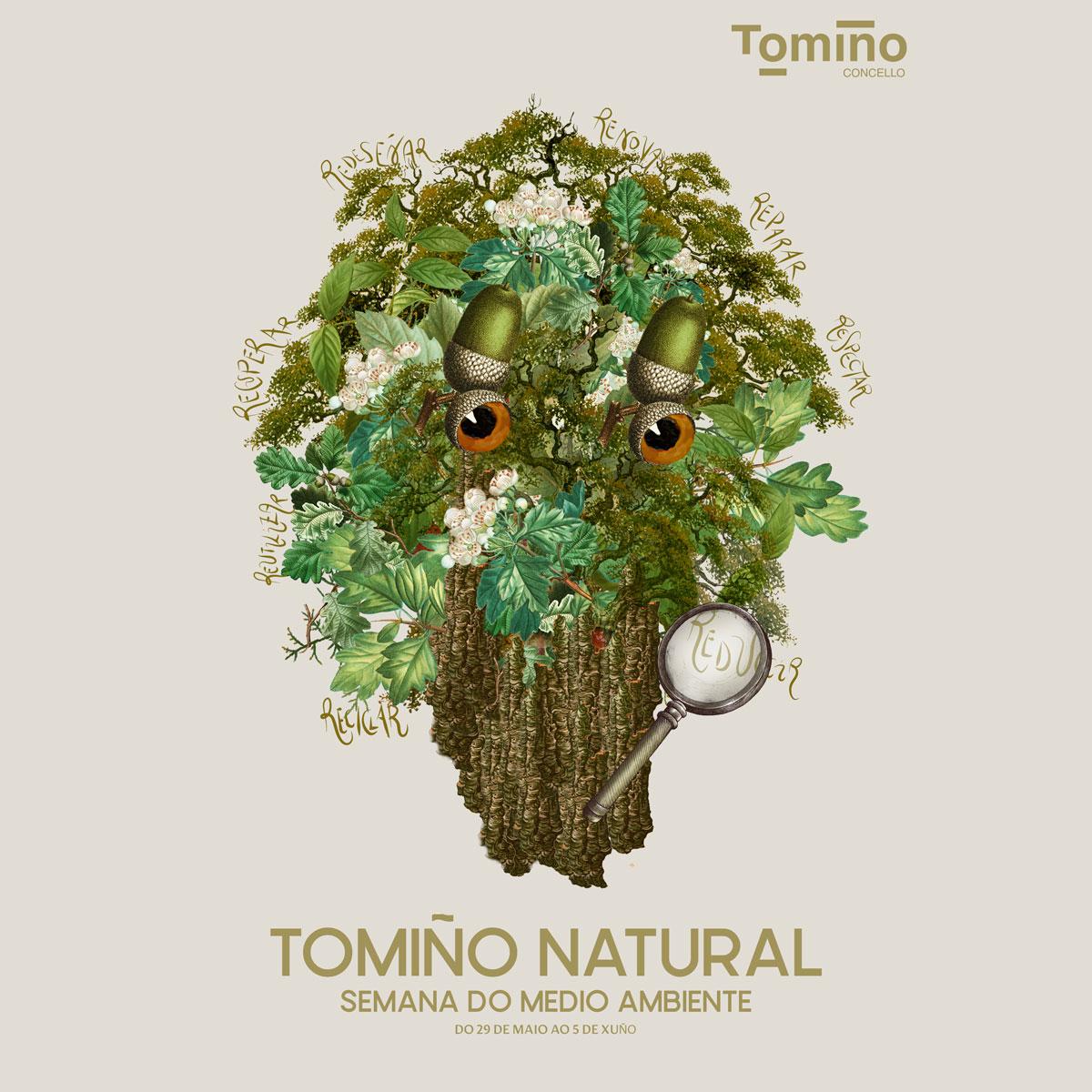 Tomiño conmemora a Semana do Medio Ambiente con obradoiros, unha exposición e un roteiro polas árbores senlleiras