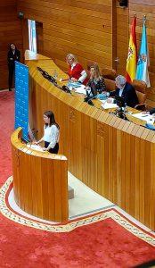 ‘Voces Novas’ toma a palabra no XI Foro de Participación Infantil no Parlamento galego