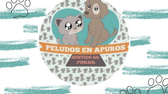 Tomiño celebra unha nova xornada de adopción de cans e gatos