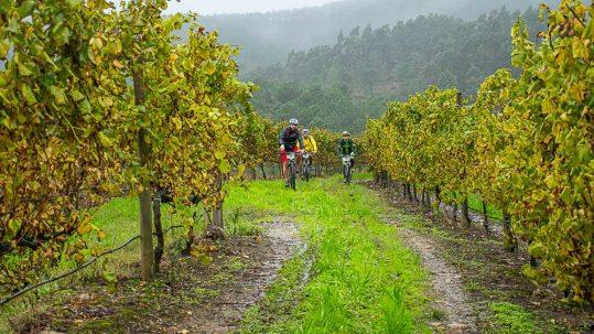 60 afeccionadas e afeccionados ao ciclismo exploraron as potencialidades de Cerveira e Tomiño